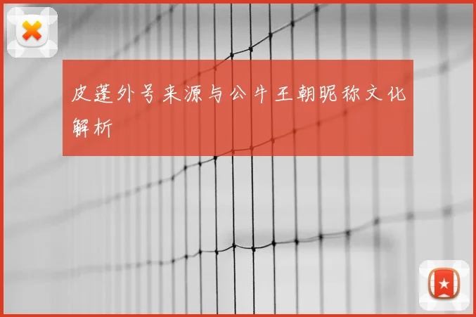 皮蓬外号来源与公牛王朝昵称文化解析
