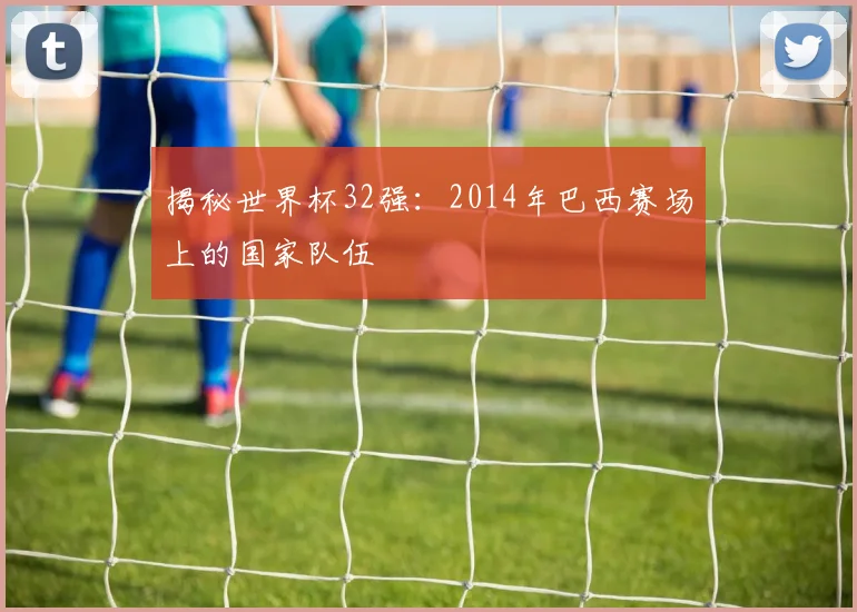 揭秘世界杯32强：2014年巴西赛场上的国家队伍