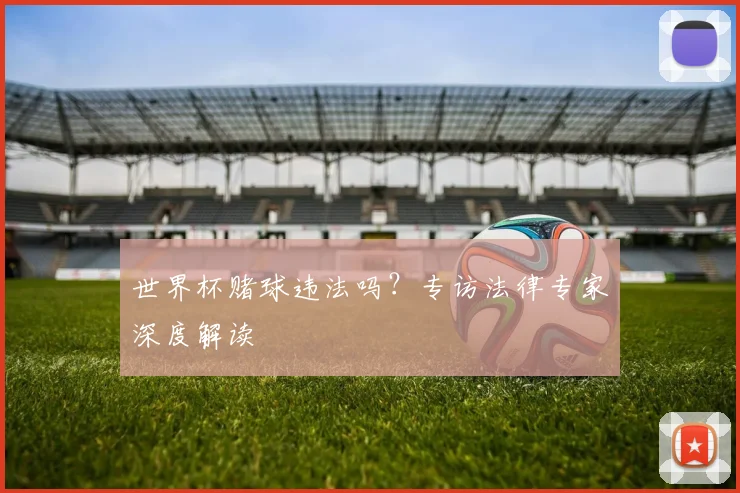 世界杯赌球违法吗？专访法律专家深度解读