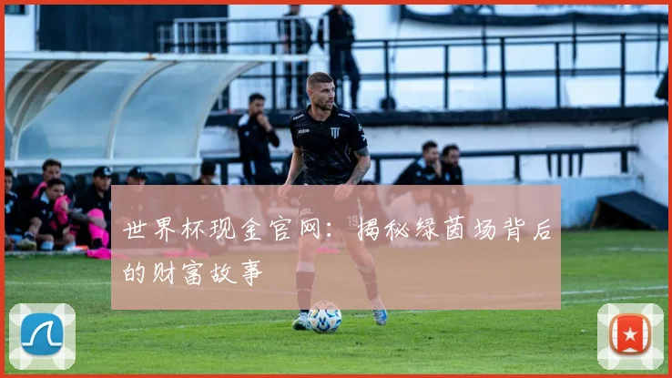 世界杯现金官网：揭秘绿茵场背后的财富故事