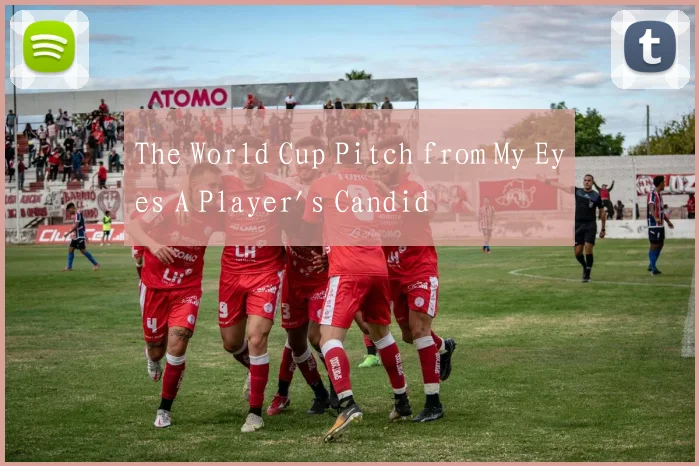 The World Cup Pitch from My Eyes A Player's Candid