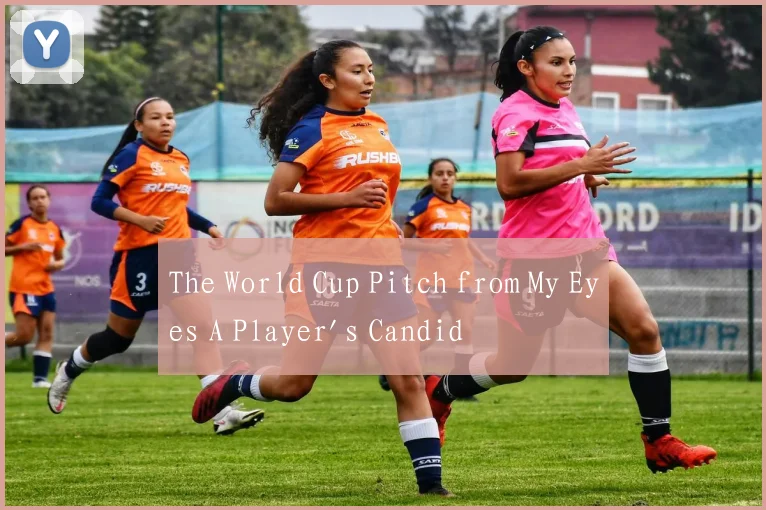 The World Cup Pitch from My Eyes A Player's Candid