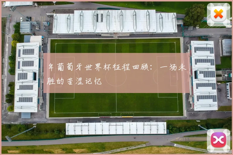 年葡萄牙世界杯征程回顾：一场未胜的苦涩记忆