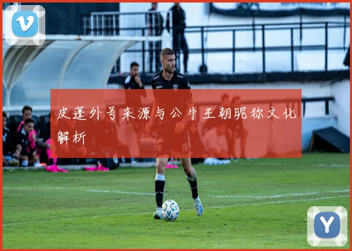 皮蓬外号来源与公牛王朝昵称文化解析