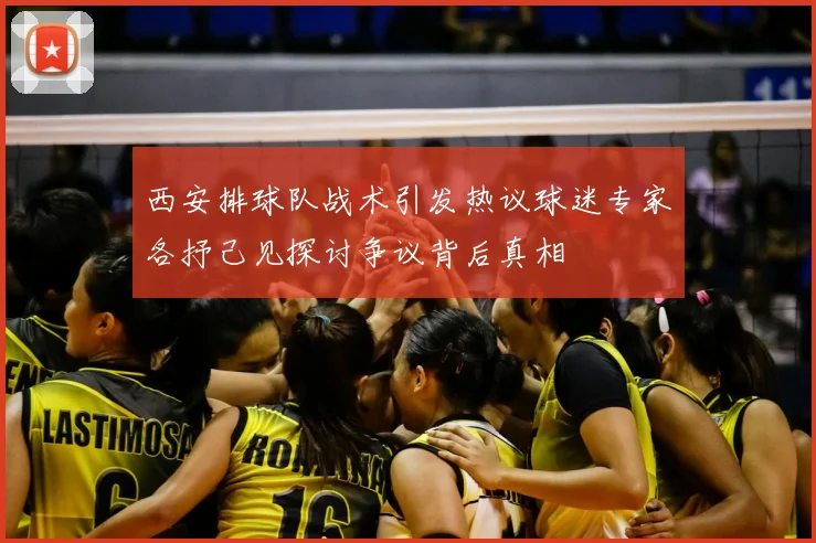 西安排球队战术引发热议球迷专家各抒己见探讨争议背后真相