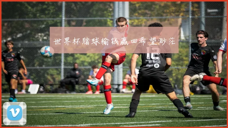 世界杯赌球输钱赢回希望渺茫