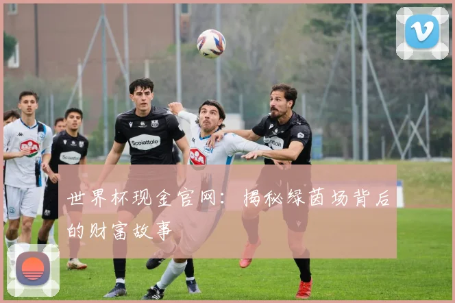 世界杯现金官网：揭秘绿茵场背后的财富故事