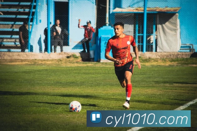 kaiyun平台生态图